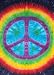 What every Deadhead needs