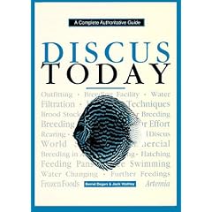 Discus Today