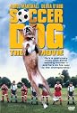 Soccer Dog - The Movie