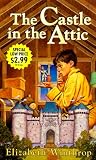 The Castle in the Attic