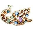 Multi Colored Sea Snail Animal Brooch Pin