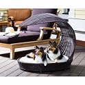 Dog Chaise Lounger