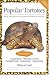 Popular Tortoises (Herpetocultural Library)