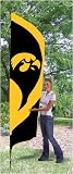 Iowa - Tall team flag w/ pole
