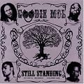 Still Standing