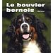 Bouvier Bernois (le)