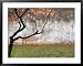Tree and Wall at Seodaemun Prison, North of River, Seoul, South Korea World Culture Framed Photographic Poster Print by Anthony Plummer, 39x31