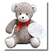 Sock Teddy Bear Sock Monkey Friends