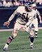 Dick Butkus Chicago Bears 8x10 Photo
