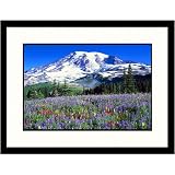 Great American Picture IS825802 Wildflowers at Mt Rainier Framed Photograph