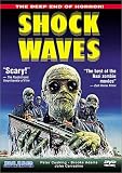 Shock Waves Shock Waves