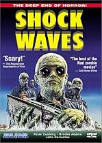 Shock Waves