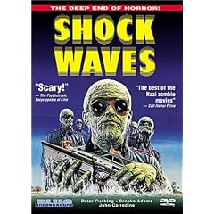 Shock Waves