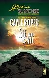 See No Evil (Steeple Hill Love Inspired Suspense)