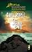 See No Evil (Steeple Hill Love Inspired Suspense #39)