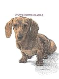 Dachshund Puppy - 9x12 Drawing by Cindy Farmer