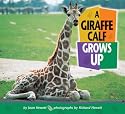 A Giraffe Calf Grows Up (Baby Animals (Carolrhoda Books Paperback))