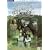 The Adventures Of Black Beauty - The Best Of Series One [1972] [DVD]