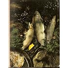 American Cooking: The Northwest (Foods of the World) by American Cooking