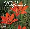Wildflowers - Mini 2010 Mini Calendar