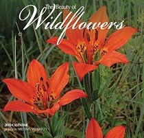 Wildflowers - Mini 2010 Mini Calendar