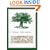 Celtic Tree Magic