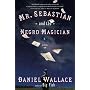 Mr. Sebastian and the Negro Magician: A Novel