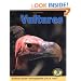 Vultures (Early Bird Nature)