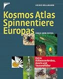 Kosmos-Atlas Spinnentiere Europas: Und S��wasserkrebse, Asseln, Tausendf��er