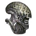 Adults&rsquo; Deluxe Alien Mask