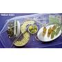 Table Size Food Tent