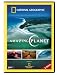 DVD : National Geographic - Amazing Planet