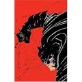 Batman: The Dark Knight Returns/The Dark Knight Strikes Again (absolute edition)