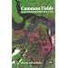 Common Fields: An Environmental History of St. Louis