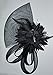 Coolr Women's Fascinators Hat Small Hairpin Feather Mesh Flower Hairclip (Black)