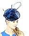 NYfashion101 Elegant Feather Floral Sinamay Fascinator Headband