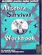 Algebra Survival Guide Workbook: Thousands of Problems to Sharpen Skills and Enhance Understanding