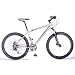 Raleigh Raleigh Synchro 17" Frame Bike