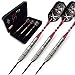 CUESOUL Tungsten Steel Tip Darts- Precise Barrels 26 Grams 90% Tungsten with Luxury Case