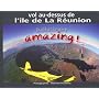 Amazing ! : Vol au-dessus de l'île de La Réunion