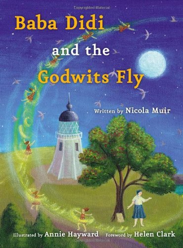 baba didi and the godwits fly