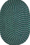 Robin Rugs Sparkle Chenille Braided 10 Round evergreen Area Rug