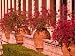 The John and Mable Ringling Museum of Art, Sarasota, Florida Photographic Poster Print by Adam Jones, 16x12
