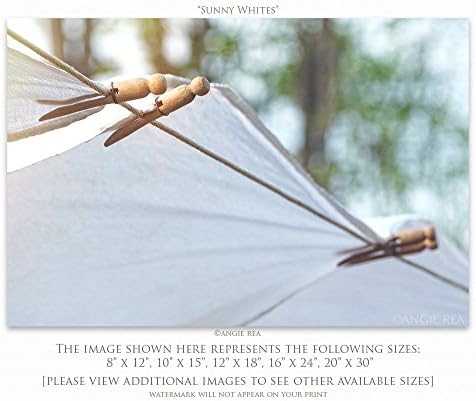 Country Clothesline with White Kitchen Towels hung by Vintage Clothespins Fine Art Photography White Laundry Room Decor Print