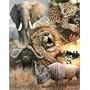(16x20) African Big Five (Elephant, Leopard, Lion, African Buffalo, Rhinoceros) Art Poster Print