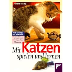 Mit Katzen spielen und lernen