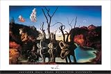 Swans Reflecting Elephants, c.1937 Best Seller Poster Print by Salvador Dali, 36x24