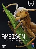 Eigenschaften Polyband & Toppic Video/WVG  / Ameisen - Die heimliche Weltmacht