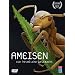 Ameisen - Die heimliche Weltmacht