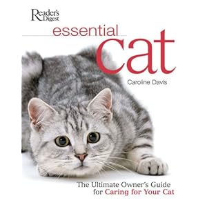 Essential Cat